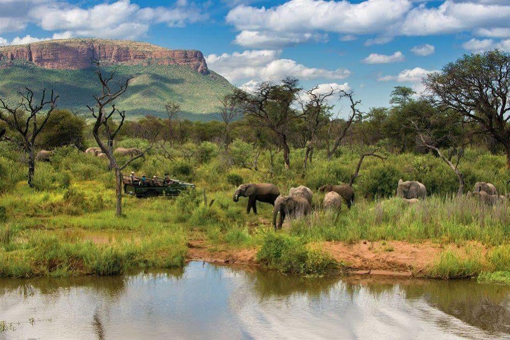 Отель Marataba Safari Co Marakele National Park Экстерьер фото