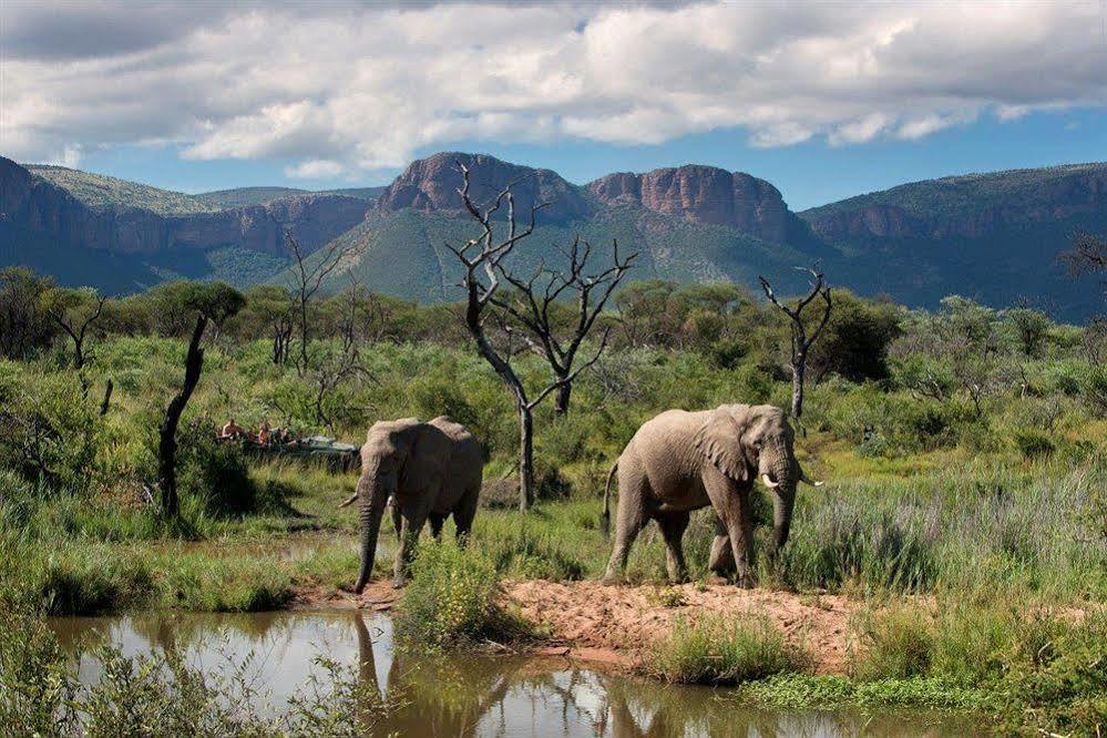 Отель Marataba Safari Co Marakele National Park Экстерьер фото